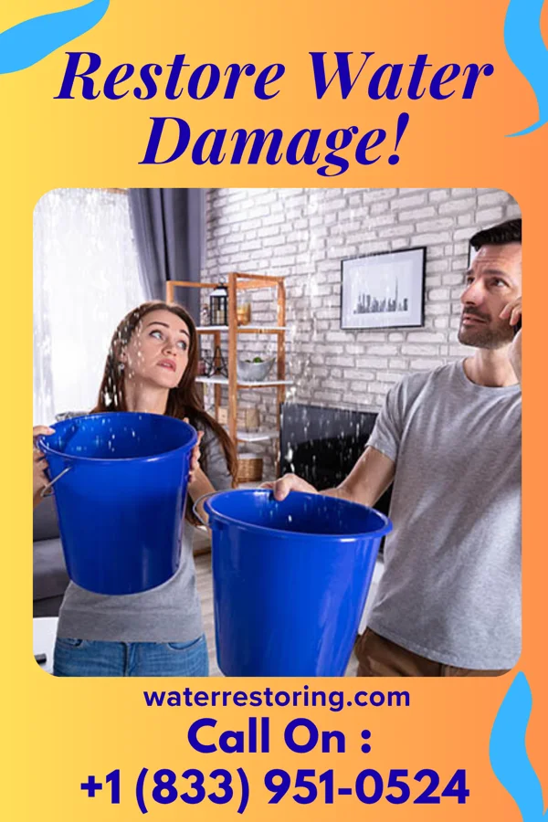 water restoration Master Property Restoration Solutions Paris
