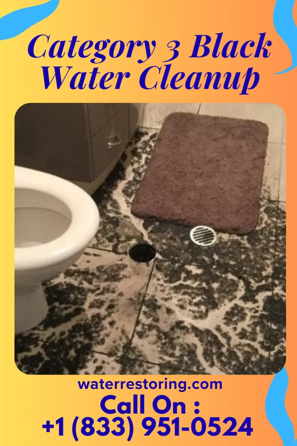 Category 3 Black Water Cleanup in Paris, IL