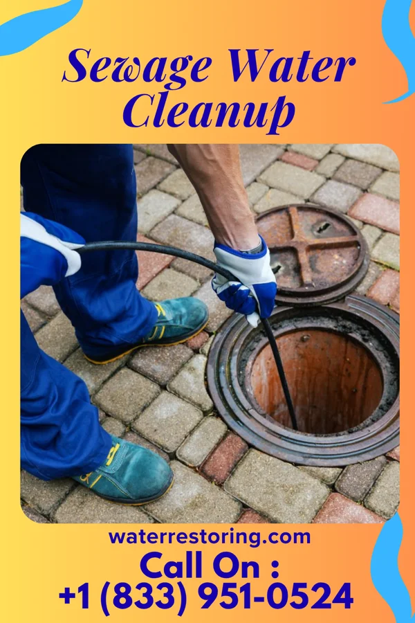 Sewage Water Cleanup in Paris, IL